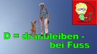 D = Dranbleiben: Dem Hund bei Fuss beibringen  die einfachste Methode