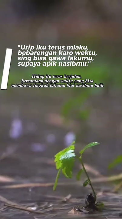 kata bijak jawa Urip iku terus mlaku, bebarengan karo wektu, sing bisa gawa lakumu