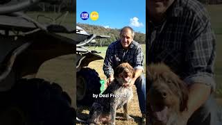 Inquests into Dezi Freeman and police shooting begin | 9 News Australia Net Worth