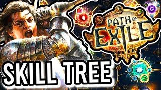 Path Of Exile For Beginners: Skill Tree Explained