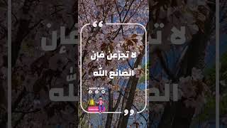 مبروك زيد الخير حالات واتساب اقتباسات جميلة روعة #sorths