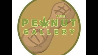 Peanut Gallery - Logo Animation