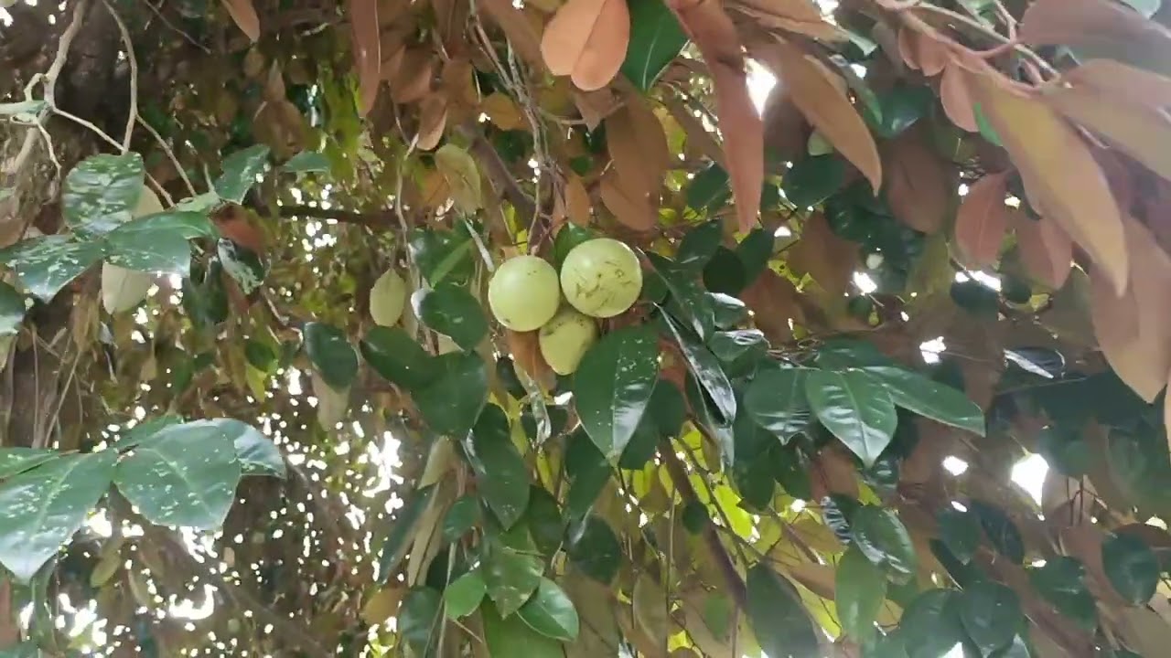 Pa uwi na kami. Sinipat pa yung pwesto.
