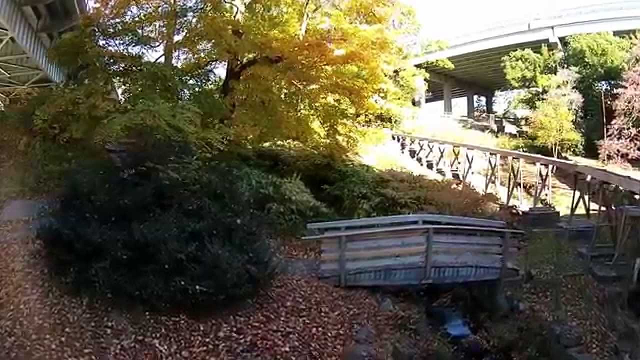 DJI P2V with Rotor Pixel Gimble