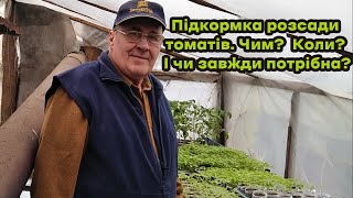 Підкормка розсади томатів. Чим? Коли? Та чи завжди потрібна?