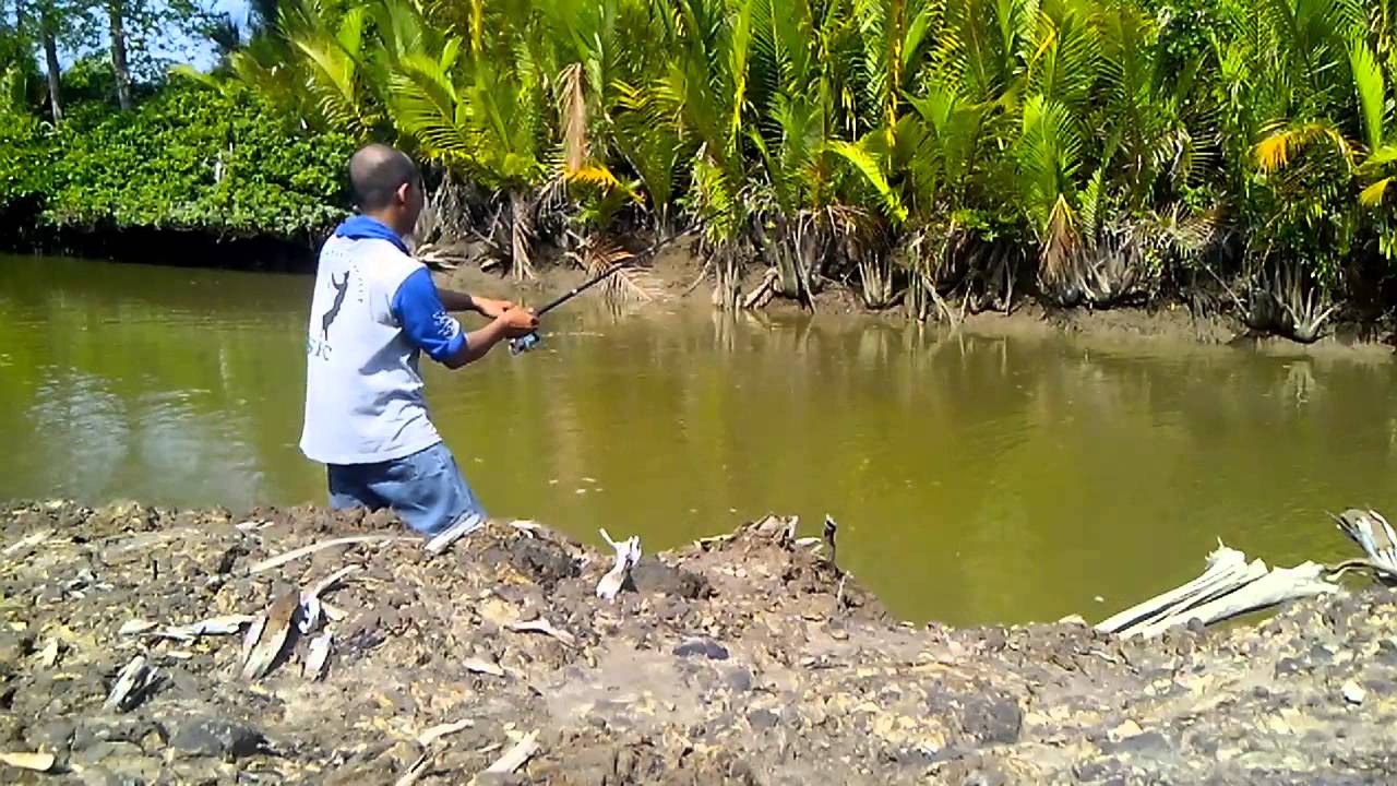 Strike ikan kerapu berwajah jelek - kerapu barong - lepo lepo