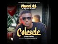 Nucci A1 - Colesele (come closer) feat Mg Love x Rosta - produced by Atomicbomb 