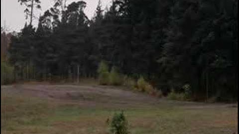 Monty Python- How Not to be Seen