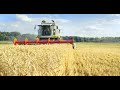 Segmento Agronegócio | Polyseal