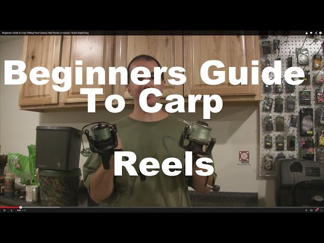 Beginners Guide to Carp Fishing Reel Choices Bait Runner or Instant / Quick  Rapid Drag 