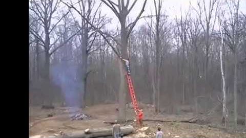 EPIC FAIL !!! cutting a branch of a huge tree
