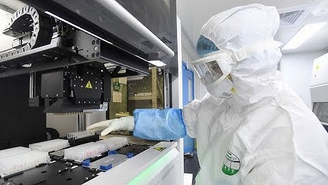 Covid, Wuhan and the Lab-Leak Theory