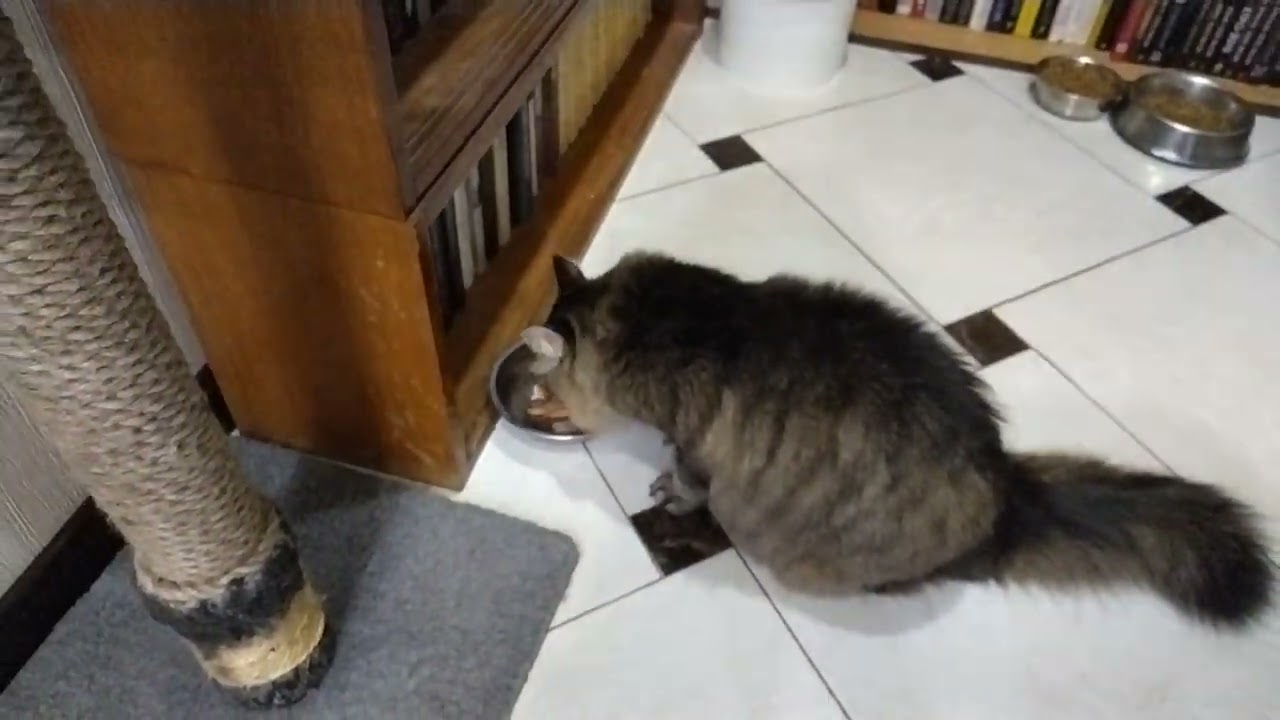 Филя 01.03.2026 Креветосы выходного дня. 