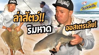 ออกล่าฉลาม ริมหาดออสเตรเลีย [หัวครัวทัวร์ริ่ง] EP.44