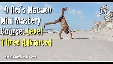 Macaco Mini Mastery Course: Level 3 Macaco em Pé