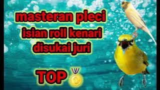 🔴masteran pleci tembakan roll kenari panjang (TOP🥇)