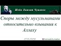 Шейх Хамзат Чумаков / Споры между мусульманами относительно взывания к Аллаху (27.10.2023г).