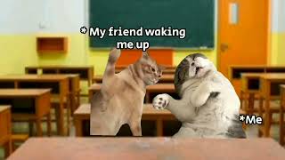 when the teacher caught you sleeping in the class| cat memes