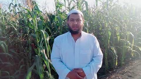 سورة البروج برواية السوسي عن أبي عمرو البصري للقارئ الشيخ شعبان يوسف نعيم