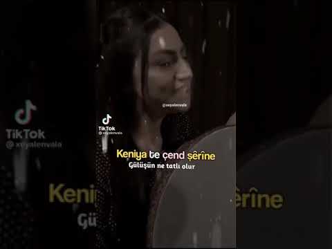 Were bo min bikene | Yeni Kası Video | Kürtçe'denTürkçe'yeLyrics |
