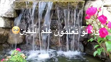 سورة التكاثر - قرآن كريم - راحة نفسية