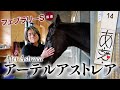 【アーテルアストレア】　SNSで話題の美人馬！引退目前…担当者が語る"あーちゃん"愛　#競馬 #keiba #フェブラリーS＃兵庫女王盃