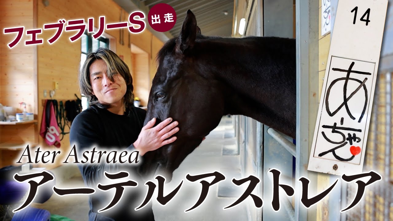 【アーテルアストレア】　SNSで話題の美人馬！引退目前…担当者が語る"あーちゃん"愛　