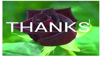 How to use the Filter Gallery in Photoshop