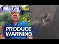 Australian fresh produce suppliers warn industry is at breaking point | 9 News Australia