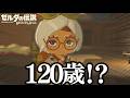 そんなわけがない【ゼルダの伝説　ブレス オブ ザ ワイルド】④