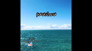 ثواني قرآن كريم فارس عباد سورة النحل (ولا تقولوا لما تصف ألسنتكم الكذب هذا حلال وهذا حرام)حالات واتس
