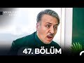   47 
