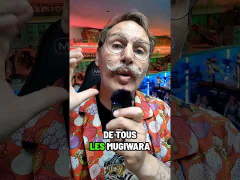 IL FAUT QU'ON PARLE DES MUGIWARAS CE SOIR SUR TWITCH LEDOK 56 A 22H00