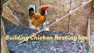 Building a Chicken Nesting box | egg box