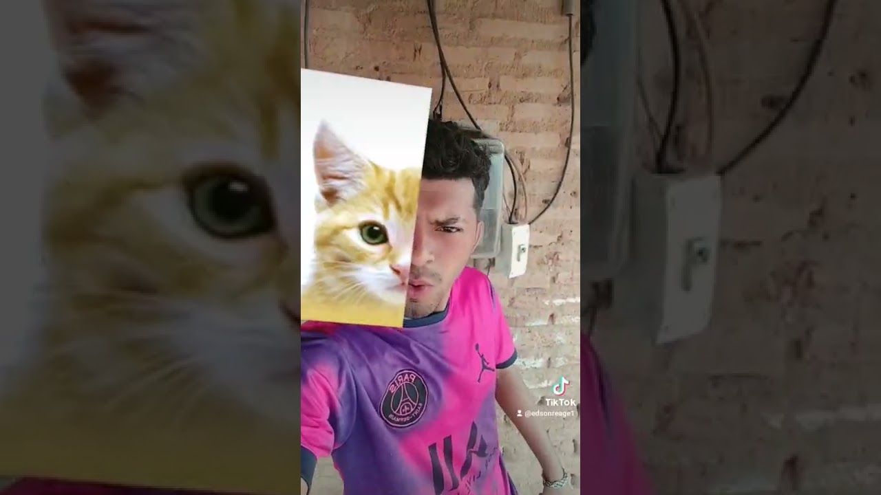 SAIU UM GATINHO - YouTube