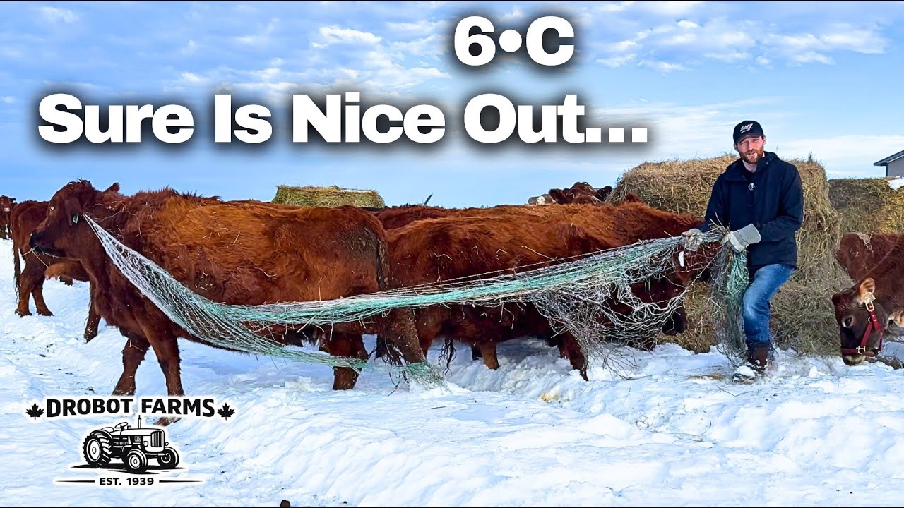 Taking A Minute To Unwind