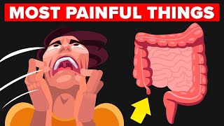Most Painful Things A Human Can Experience 
