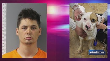 Bradford County man charged after deceased dog found with a trash bag on its head, second dog in dep