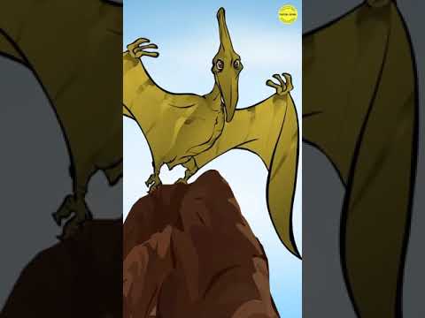 Video: Apakah pterodactyl memiliki sarang?