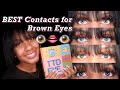 I TRIED COLORED CONTACTS FOR THE FIRST TIME... I’M SHOOK😍! | TTD EYE Review 👀