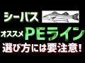 【シーバス】おすすめPEライン！編数が変わると何が変わるか全部話します！４本編と８本編と１２本編はどれがベスト？