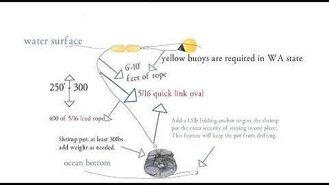 Spot Shrimping Part 1- Gearing Up