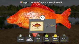 📢СТРИМ РР4🔥РЕКА ЯМА И ОЗЕРО ЯНТАРНОЕ🔥РУССКАЯ РЫБАЛКА 4