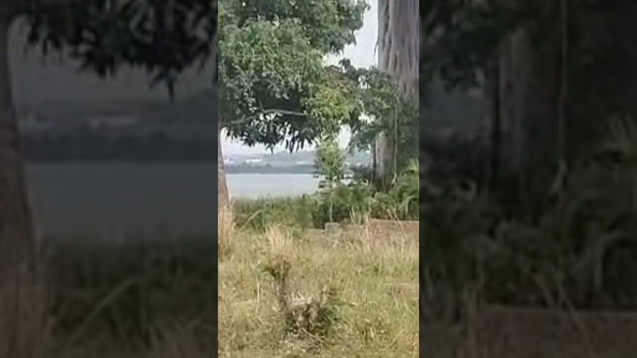 130 Decimals Lake View Entebbe 