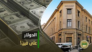 قبل ساعات من اجتماع البنك المركزي توقعات صادمة عن الدولار وسعر الفائدة: ده اللي معملناش حسابه..