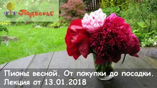 "Пионы весной. От покупки до посадки" - лекция С.Мовчан, СЦ Подворье 13.01.2018