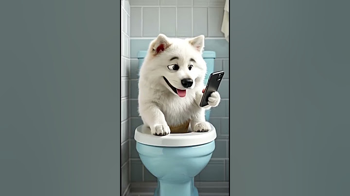 Hilarious Puppy on Toilet Scrolling Phone! Too Funny 🐶 📱 🤩 !/ TheCutest