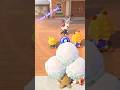 Break in the action #animalcrossing