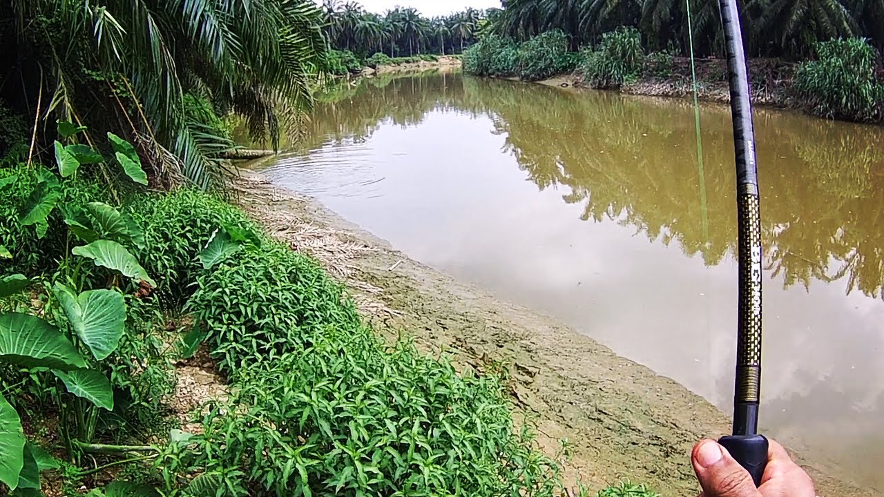 SG SELANGOR - POT BELAKANG PEKAN BATANG BERJUNTAI (BESTARI JAYA)