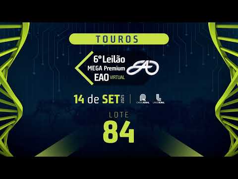 LOTE 84